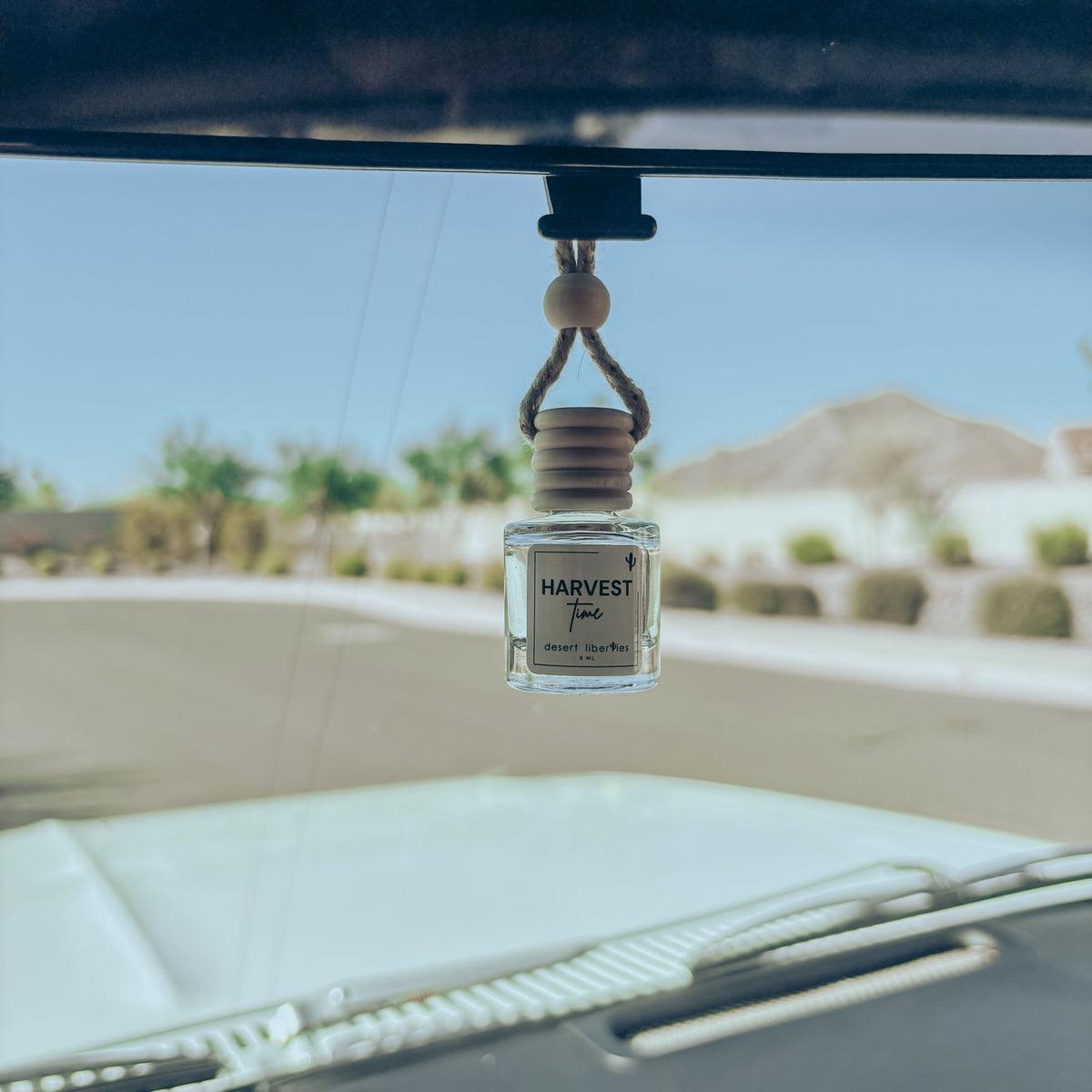 Car air freshener hanging from a car's rearview mirror with a scenic background.