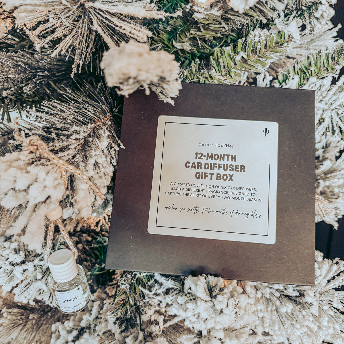 Car Diffuser Gift Box | Gift Under $50