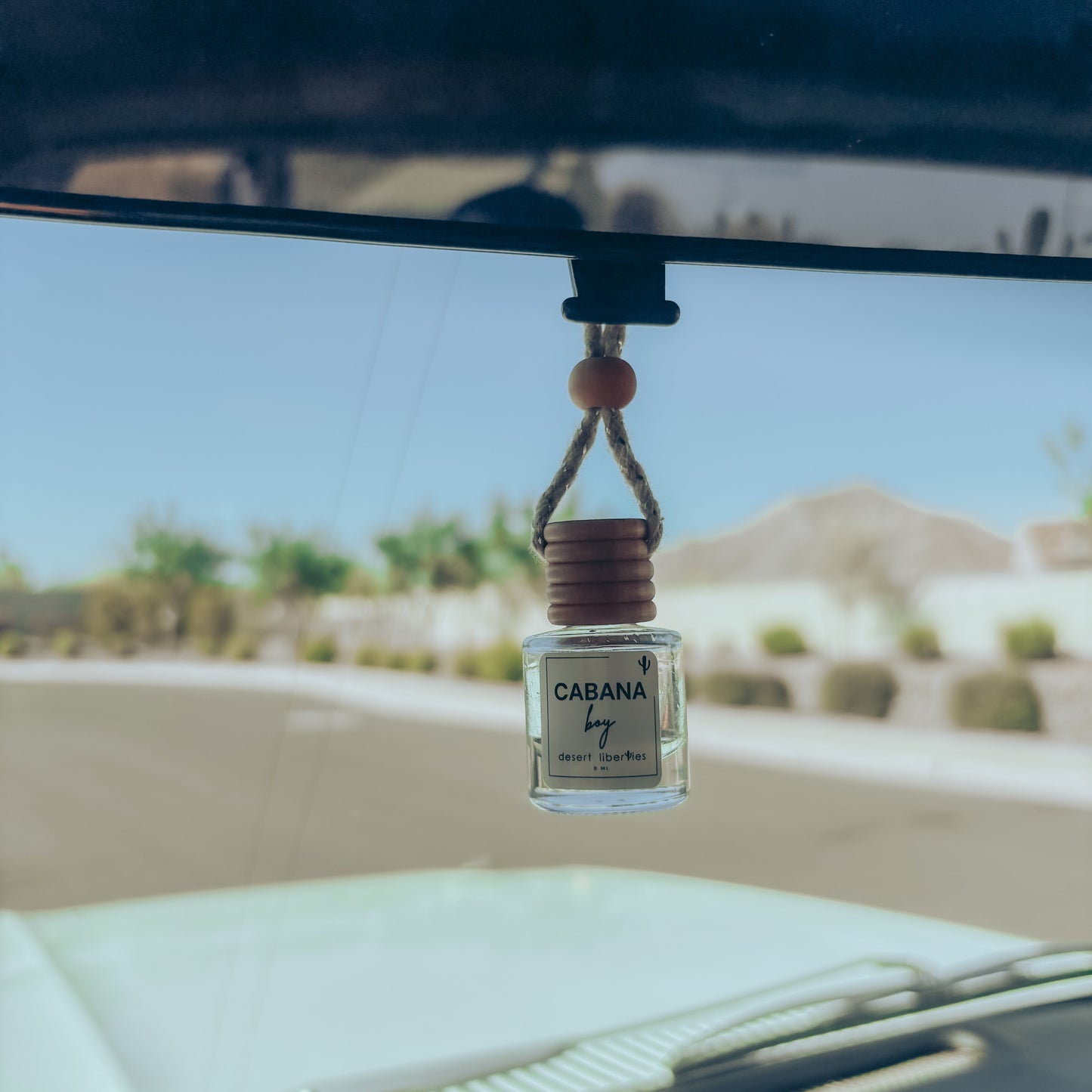 Car air freshener hanging from a car's rearview mirror with a scenic background.