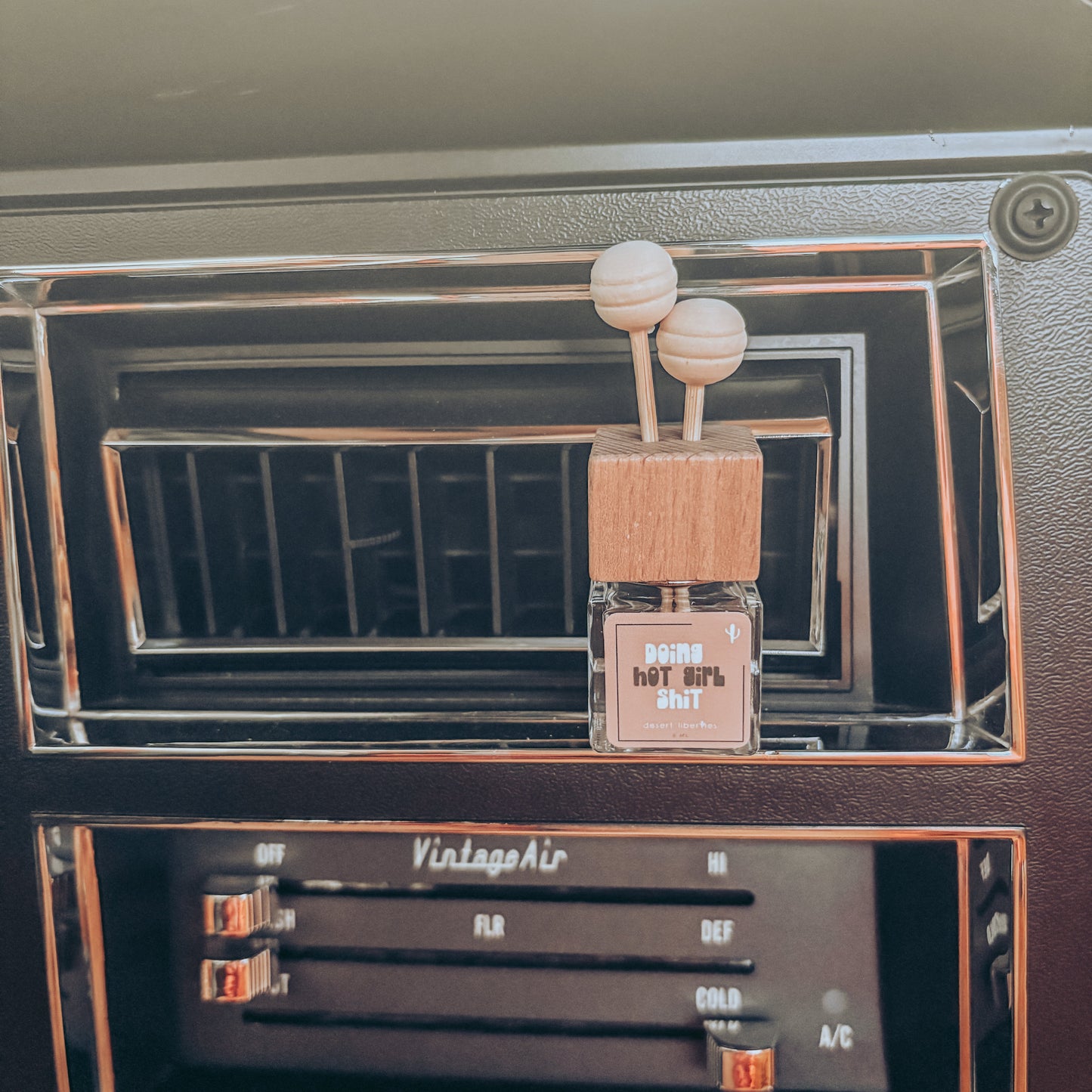 Car Diffuser, Hot Girl Shit