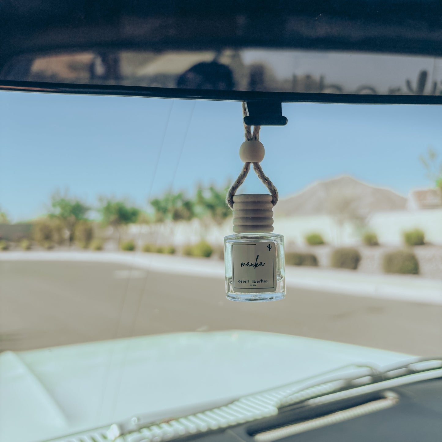 Car air freshener hanging from a car's rearview mirror with a desert landscape outside.