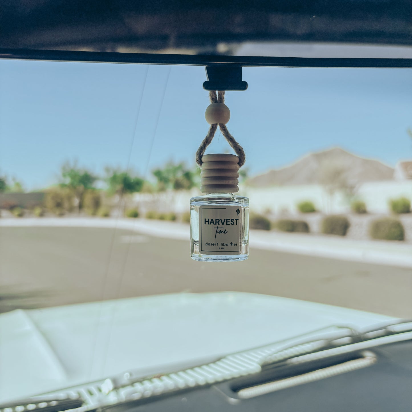 Car air freshener hanging from a car's rearview mirror with a scenic background.