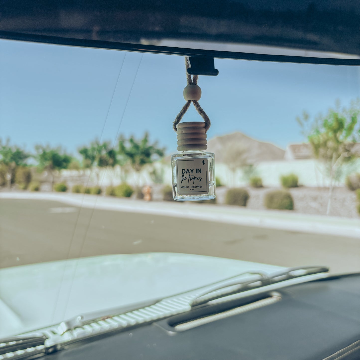 Car air freshener hanging from a car's rearview mirror with a scenic background.