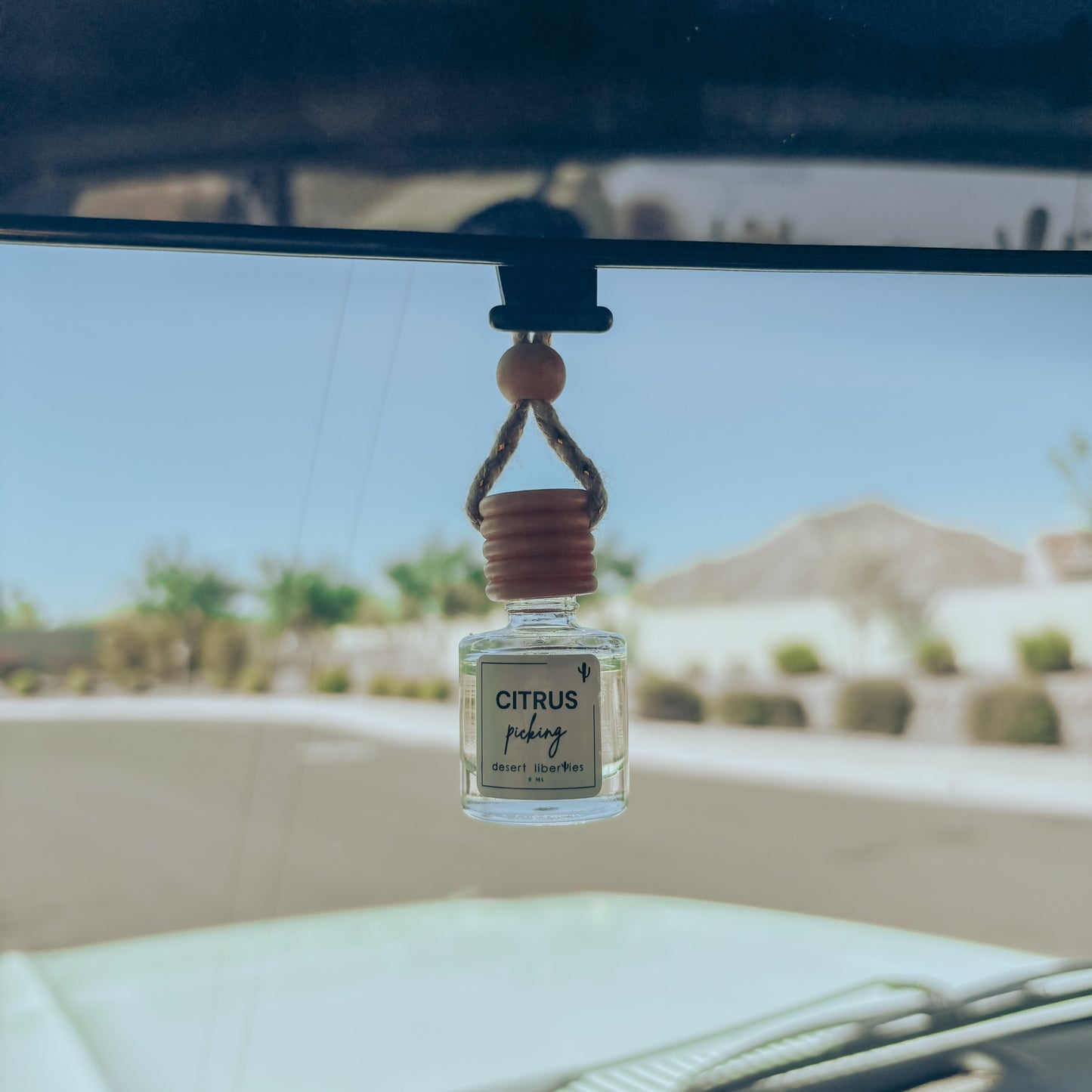 Car air freshener hanging from a car's rearview mirror with a scenic background.