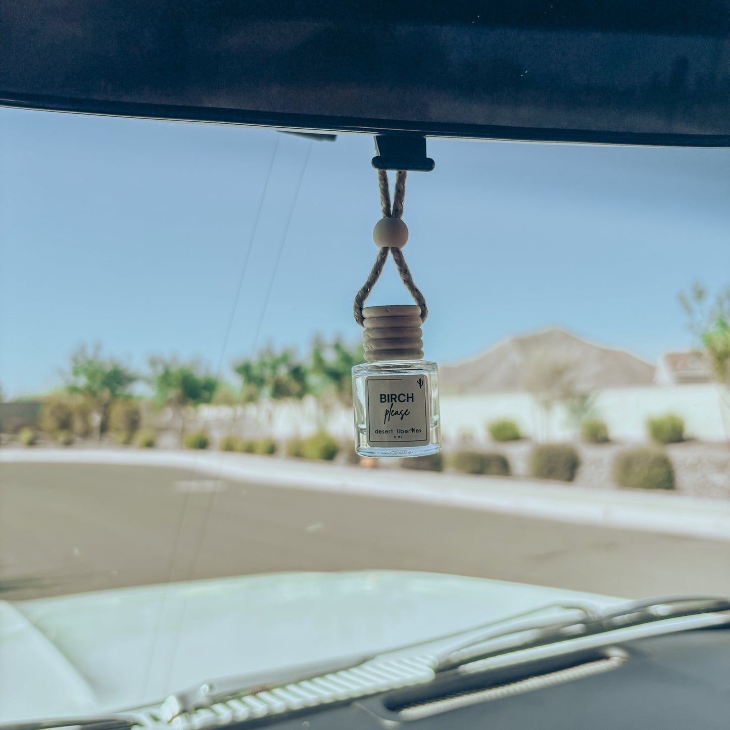 Car air freshener hanging from a car's rearview mirror with a desert landscape in the background.