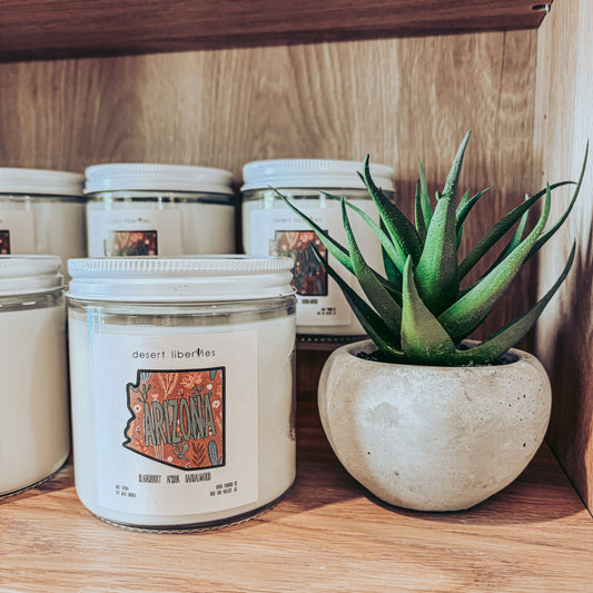 Candle jars with a plant on a wooden shelf