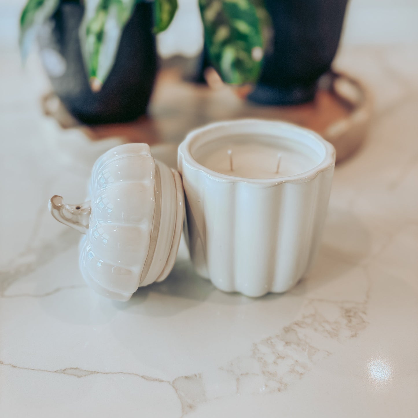 White ceramic container with lid on a marble surface, with potted plants in the background.