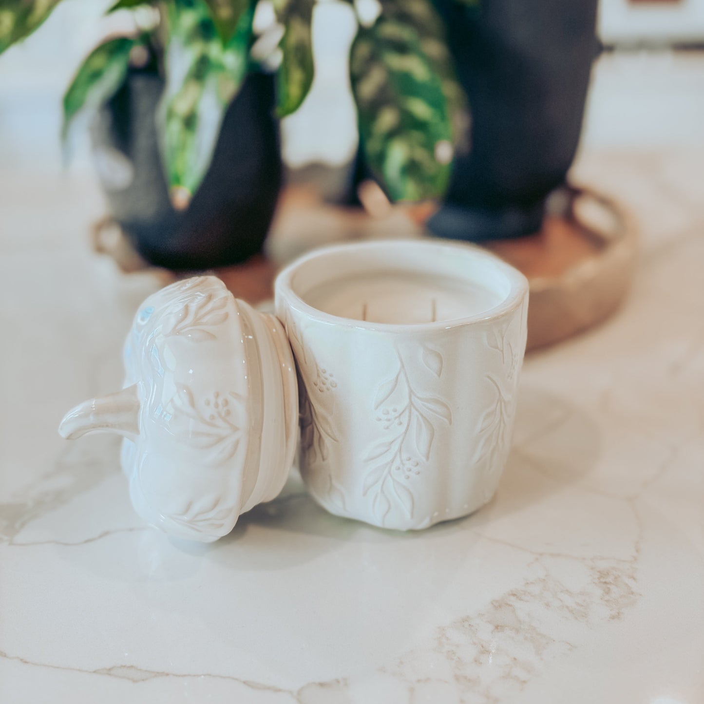 White ceramic container with lid on a marble surface, with plants in the background.