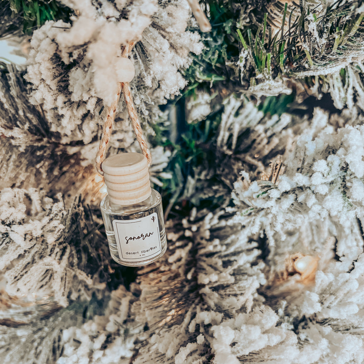 Car Diffuser Gift Box | Gift Under $50